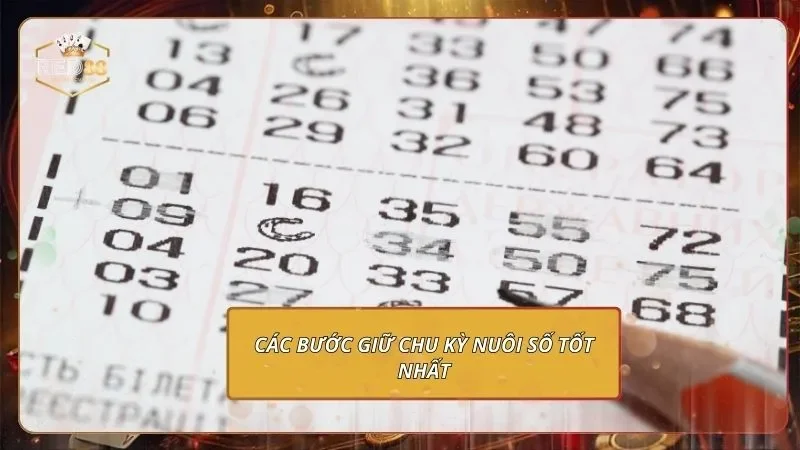 Dàn Đề 56 Số - Lọc Số Vàng Cực Hiệu Quả Cho Người Mới 3 Các bước giữ chu kỳ nuôi số tốt nhất