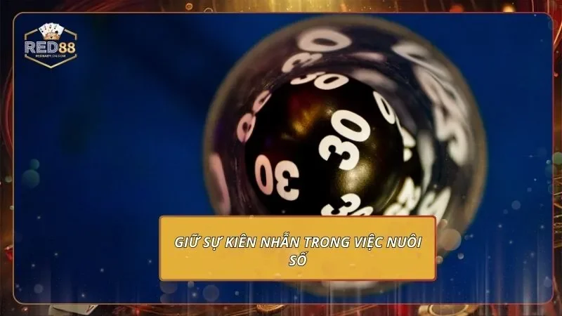 Lô Đề 3 Miền - Học Soi Số Vàng Với Dữ Liệu Chuẩn Từ RED88 4 Giữ sự kiên nhẫn trong việc nuôi số