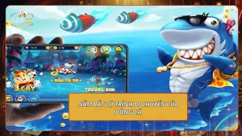 Vua Săn Cá - Mách Bạn Mẹo Chinh Phạt Thắng Cực Đậm 2 Nắm bắt lộ trình di chuyển của dòng cá