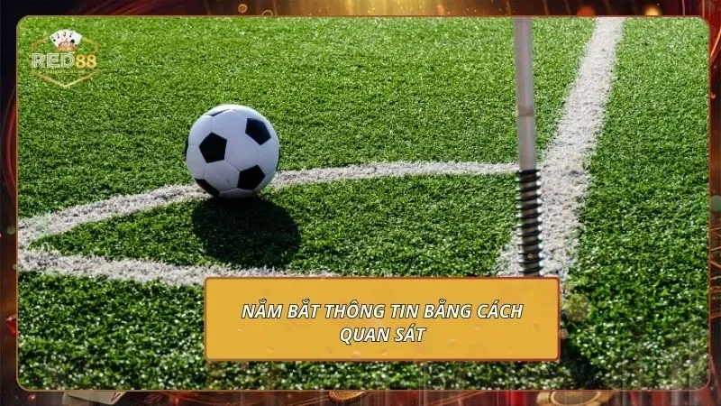 Kèo Phạt Góc - Cách Chơi & Soi Kèo Chuẩn Xác 2026 2 Nắm bắt thông tin bằng cách quan sát