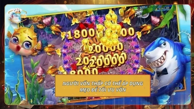 Đại Chiến B52 - Trổ Tài Săn Cá, Quy Đổi Thưởng Khủng 4 Người vốn thấp có thể áp dụng mẹo để tối ưu vốn