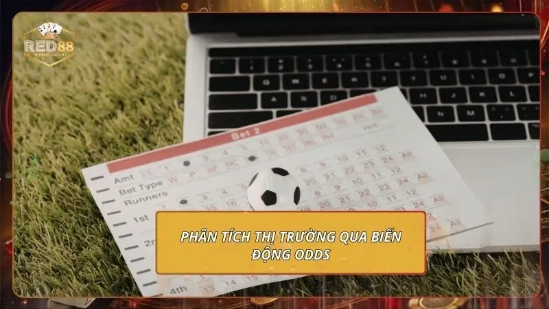 K-Sports - Bắt Kèo Chuẩn, Sát Theo Biến Động Từng Giây 3 Phân tích thị trường qua biến động odds