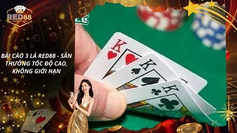 Bài Cào 3 Lá – Săn Thưởng Tốc Độ Cao, Không Giới Hạn